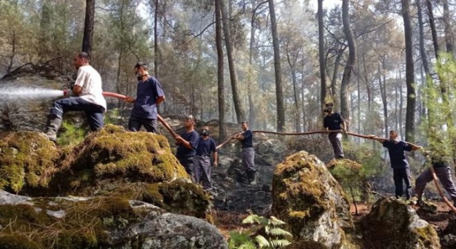 12 günde 235 orman yangınını kontrol altına alındı