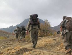 PKK lılar köylülerin aracını yaktı