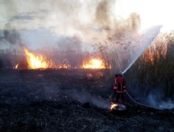 Mogan Gölü nde 3 ayda 3 üncü yangın