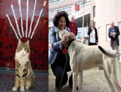 Siyaset tarihine geçen hayvanlar Şero ile Poyraz