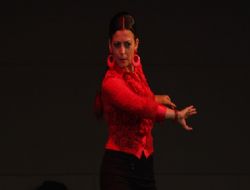 Pes edene kadar flamenko