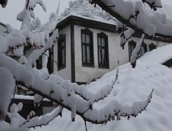 Ankara ya mart karı
