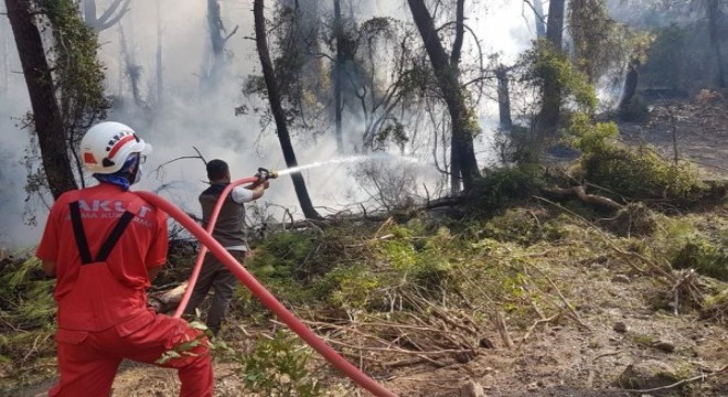 Antalya Gündoğmuş taki orman yangını