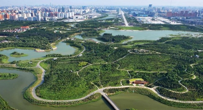 Başkent Beijing’e 100 milyon kişi 210 milyon ağaç dikti