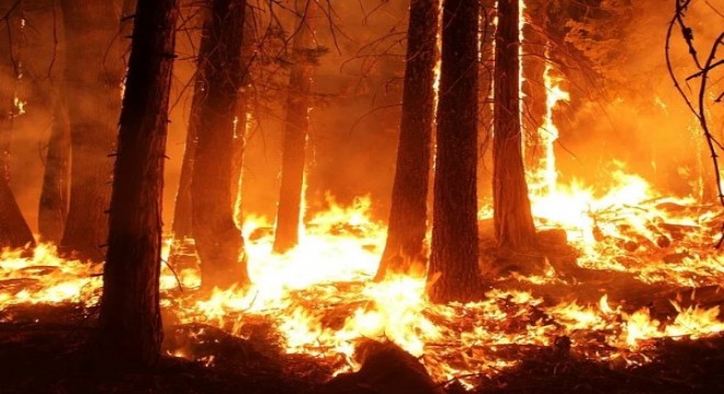 Bugün 11 ilde meydana gelen 14 orman yangınından 10’u kontrol altında