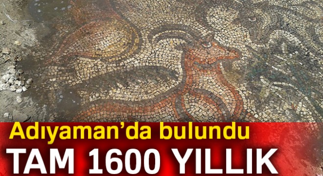 Çiftçiler tarlada 1600 yıllık tarihi mozaik buldu