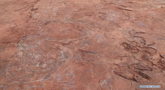 Doğu Çin’de 80 milyon yıl öncesine ait ‘dinozor dans pisti’ bulundu