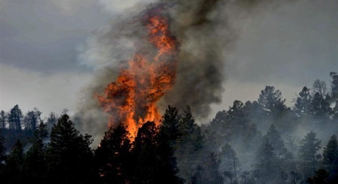 İzmir de orman yangını