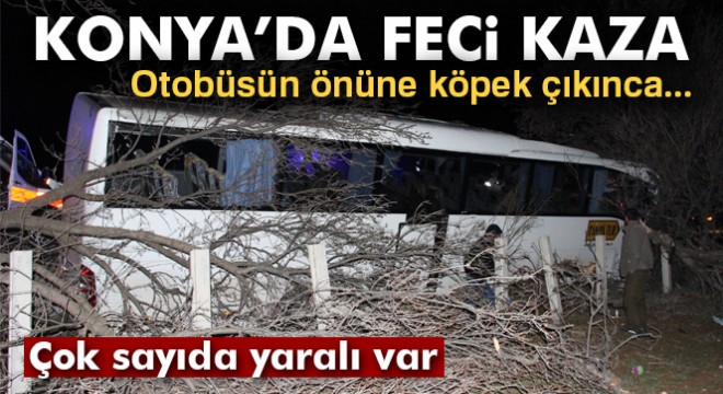 Konya’da tur otobüsü kaza yaptı: 15 yaralı