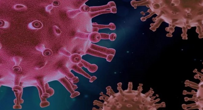 Koronavirüs salgınında ölenlerin sayısı 4.055 e ulaştı