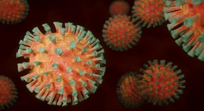 Koronavirüs salgınında ölenlerin sayısı 5 bin 891 e ulaştı
