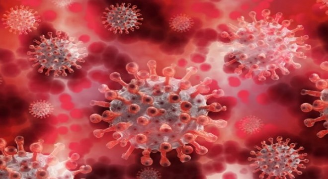 Koronavirüs salgınında vaka sayısı 20 bin 107'ye ulaştı