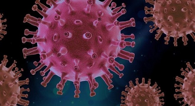 Koronavirüs salgınında vaka sayısı 5 bin 904 e ulaştı