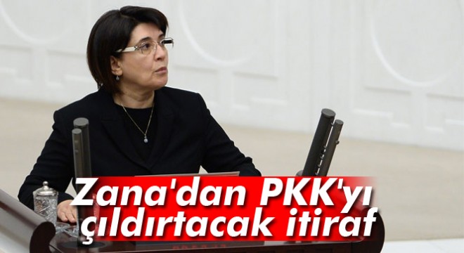 Leyla Zana, Valiye  PKK’yı 20 devlet kullanıyor  demiş