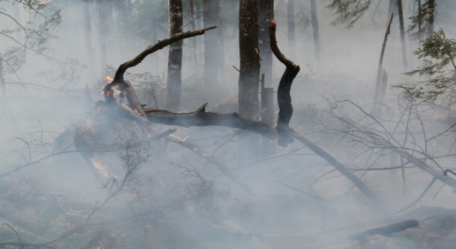 Marmaris teki orman yangını
