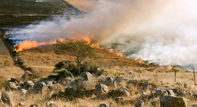 Marmaris teki orman yangını kontrol atına alındı