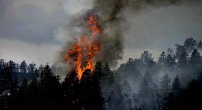 Marmaris teki orman yangınında 1 personel şehit oldu