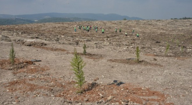 Mersin de İdlip şehitleri için hatıra ormanı