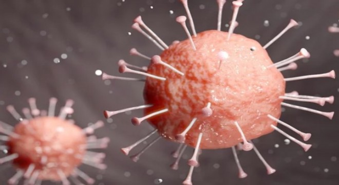 Oxford Covid-19 aşısı: Güçlü antikor ve T-hücresi bağışıklık tepkisi