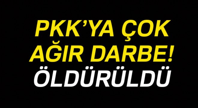PKK nın sözde bölge sorumlusu ölü olarak ele geçirildi