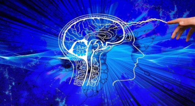 Prof. Dr. Nevzat Tarhan: “Öfkeli insan beynini devre dışı bırakıyor”