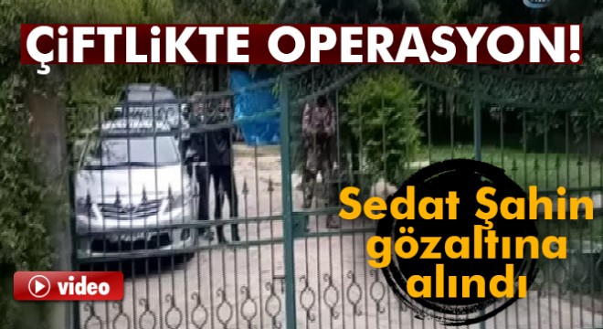 Suç örgütü lideri Sedat Şahin gözaltına alındı