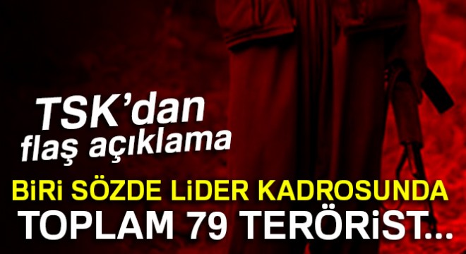 TSK: Bir haftada 79 terörist etkisiz hale getirildi