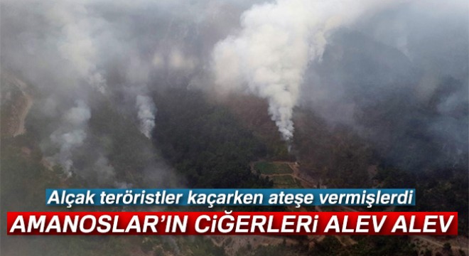 Teröristlerin çıkardığı orman yangını sürüyor