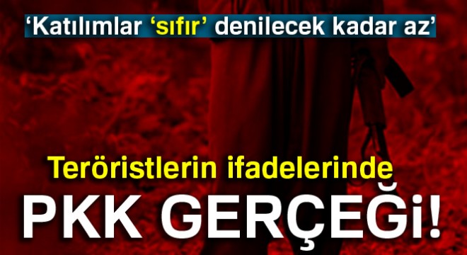 Teröristlerin ifadelerinde PKK gerçeği