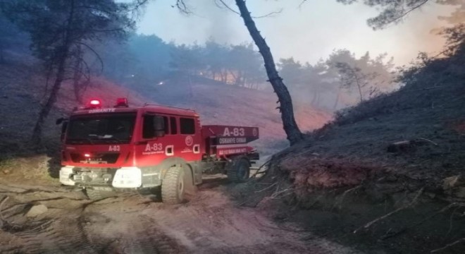 Türkiye genelindeki orman yangınları