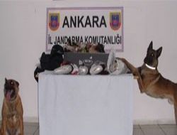 Cesur’la Ateş affetmedi