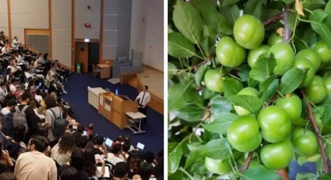 Eylülde fiyat artışında eğitim, düşüşte turunçgiller öne çıktı