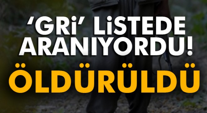 Gri’ listede aranan terörist hava harekatında öldürüldü