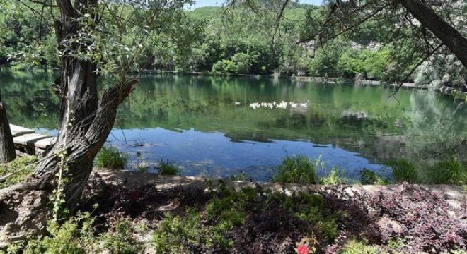 Karagöl’e 290 ağaç dikildi