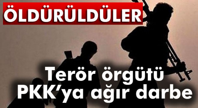 TSK’dan bölücü terör örgütüne ağır darbe !