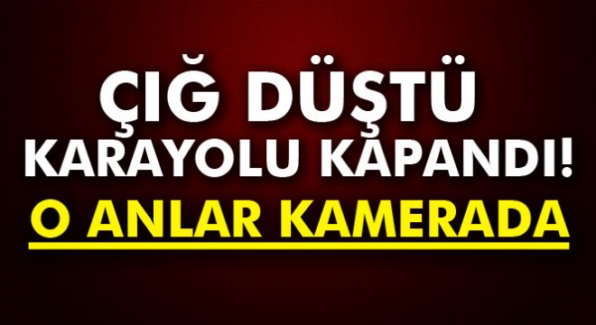 Van-Çatak yolu çığ düşmesi sonucu ulaşıma kapandı