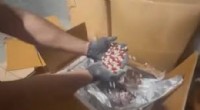 3 Milyon Uyuşturucu Hap Ele Geçirildi