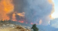 Provokatif Yangın Paylaşımlarına Yasal İşlem